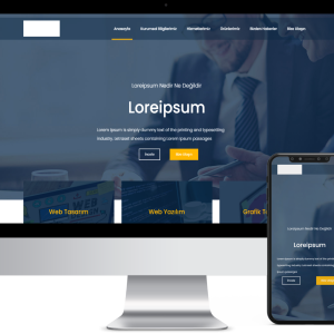 Kurumsal Web Paketi  - 03