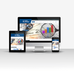 Serbest Muhasebeci ve Mali Müşavir Yazılımı