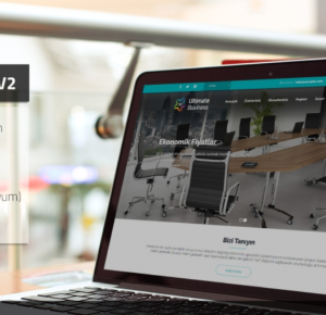 Ultimate Business V2